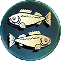 РЫБЫ знак зодиака - характеристика рыб от А до Я